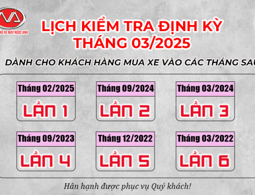 CHĂM SÓC ĐỊNH KỲ XẾ CƯNG CÙNG Hệ thống HEAD Ngọc Anh